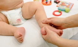 luierhacks luierhacks