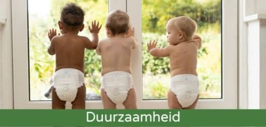 geschiedenis bamboo nature