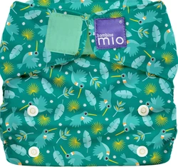 hummingbird miosolo hummingbird miosolo