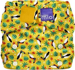 toucan bambino mio toucan bambino mio