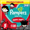 Pampers Pants Baby Dry - Luierbroekjes - Maat 5 - 12-17 kg - Maandbox - Limited Edition, 108 St